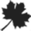 刺猬星球 super-i logo